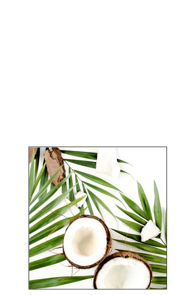 Pak 20 serviettes noix de coco papier vert small Pak 20 serviettes noix de coco papier vert small
