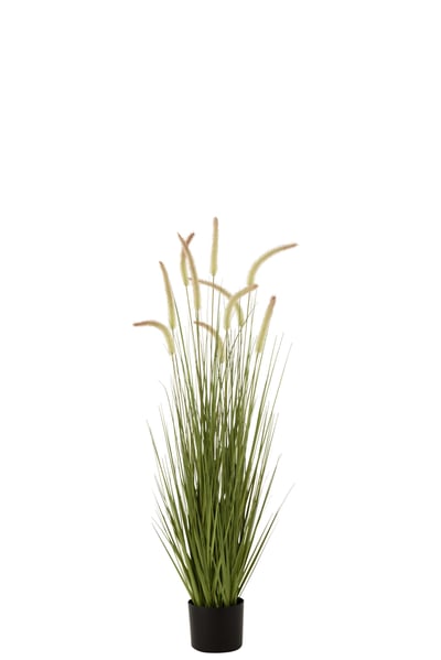 Herbes + graminees en pot plastique vert medium Herbes + graminees en pot plastique vert medium