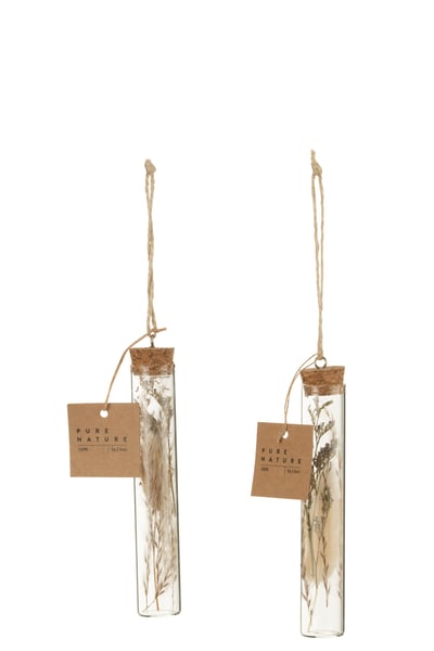 Suspension tubes fleurs sechees verre naturel assortiment de 2
