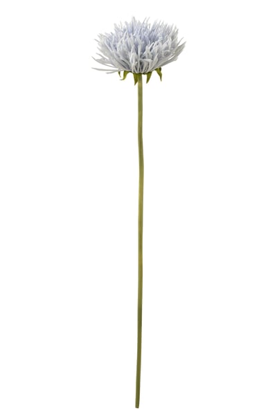 Chrysantheme plastique bleu clair