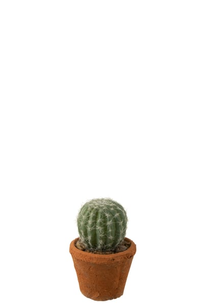 Cactus rond en pot plastique vert Cactus rond en pot plastique vert
