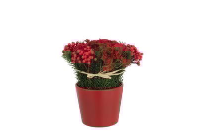 Roses+baies en pot ciment plastique rouge/vert