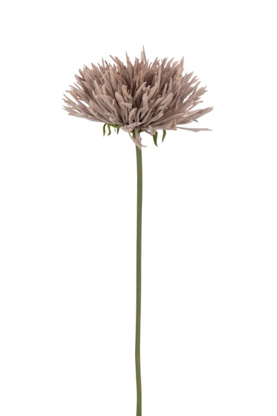 Chrisantheme plastique gris-rose