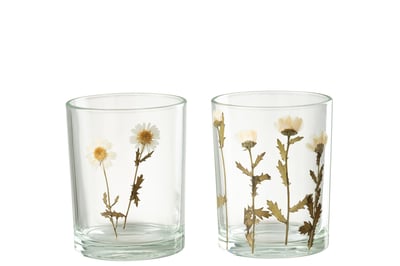 Photophore fleur marguerite verre mix assortiment de 2 Photophore fleur marguerite verre mix assortiment de 2