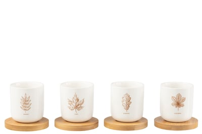 Boite 4 tasse a cafe + sous-tasse bambou feuille boite cadeau ceramique marron Boite 4 tasse a cafe + sous-tasse bambou feuille boite cadeau ceramique marron