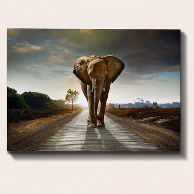 Bract Tableau décoratif sur toile | Cadre en bois | 70 x 100 cm