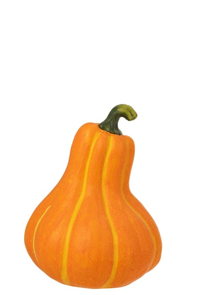 Citrouille automne magnésium orange