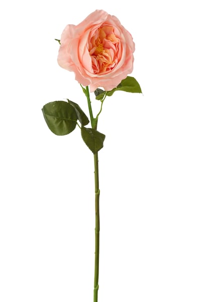 Rose touche réel tissu rose saumon