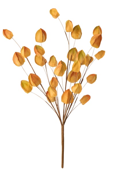 Baie d'or papier jaune chaud