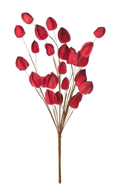 Baie d'or papier bordeaux