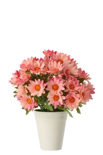 Marguerite pvc rose clair