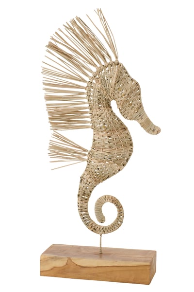 Hippocampe sur pied herbe naturel large