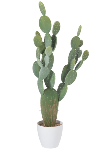 Cactus + pot plastique vert/melamine blanc xl