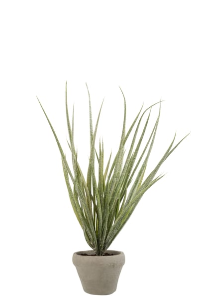 Herbes en pot paillettes plastique vert