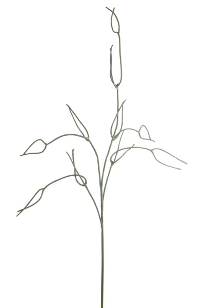 Rhipsalis branche plastique vert Rhipsalis branche plastique vert
