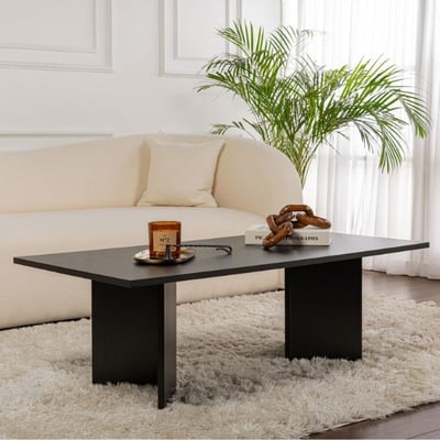Table Basse Sabin - 100% MELAMINE - Bois Noir - 40 x 60 x 119 cm