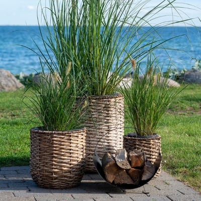Jardinières Hanoi Lot de 3 - Jacinthe d'eau naturelle Jardinières Hanoi Lot de 3 - Jacinthe d'eau naturelle
