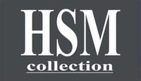 Logo HSM