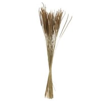 Bouquet pennisetum seche naturel