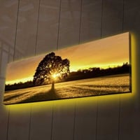 Ledda Tableau décoratif sur toile avec éclairage LED | Cadre en bois | 30 x 90 cm