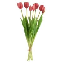Bouquet tulipes 7pieces pu rose vif large