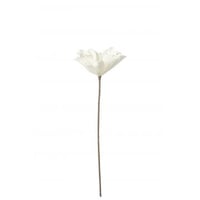 Fleur branche feuilles courtes 1 tete eva blanc