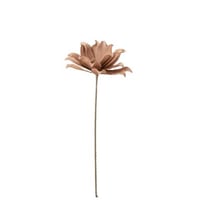 Fleur branche feuilles courtes 1 tete eva rose nude