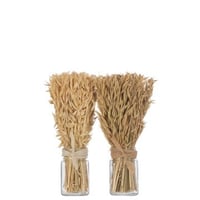 Bouquet herbes avana dans vase naturel assortiment de 2