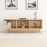Meuble TV Tina - 120x30x48cm - 3 compartiments - décor chêne
