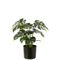 Monstera en pot artificiel vert