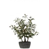 Olivier en ciment pot artificiel vert