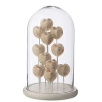 Cloche décorative coquillage verre blanc/blanc cassé large