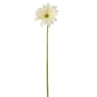 Gerberas touche réel tissu blanc