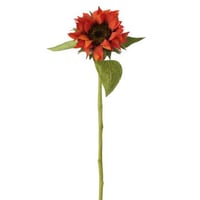 Tournesol touche réel tissu terracotta