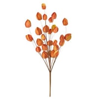 Baie d'or papier orange foncé