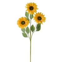 Tournesol fibre jaune chaud