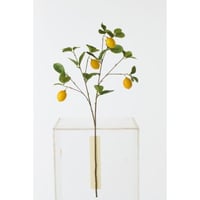 Branche de citronnier textile vert foncé/jaune