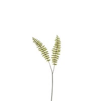 Branche fougeres boston plastique vert small