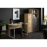 Ensemble de bureau The Office: bureau 120cm, armoire dossier, bibliothèque - décor chêne