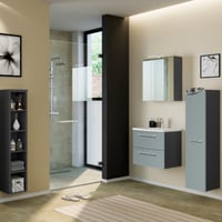 Salle de bain Gene: étagère, armoire de toilette, meuble évier, colonne - graphite/vert fjord