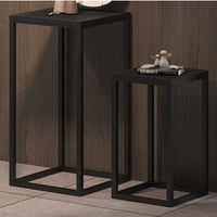 Table dappoint Madeira lot de 2 - métal et bois de manguier noir