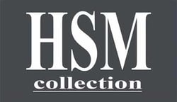 Logo HSM