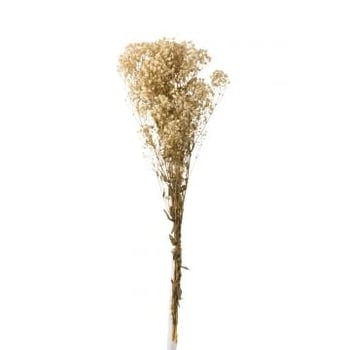 Bouquet gypsophile seche ecru