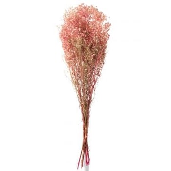 Bouquet gypsophile seche rose