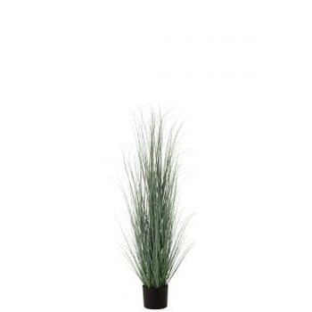 Herbes en pot plastique bleu/vert large