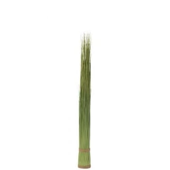 Botte herbes plastique vert medium