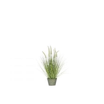 Herbes + graminees + pot en metal plastique vert small