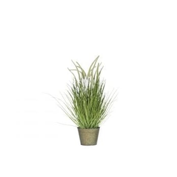 Herbes + graminees + pot en metal plastique vert medium
