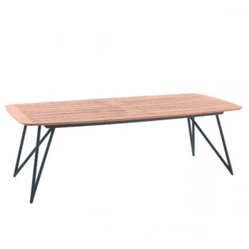 Table de jardin Talinn 250x110cm acier galvanisé - bois teck/noir