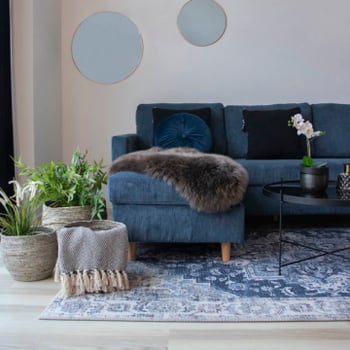 Havana Blue Chenille Polyester Rug 200x300 cm